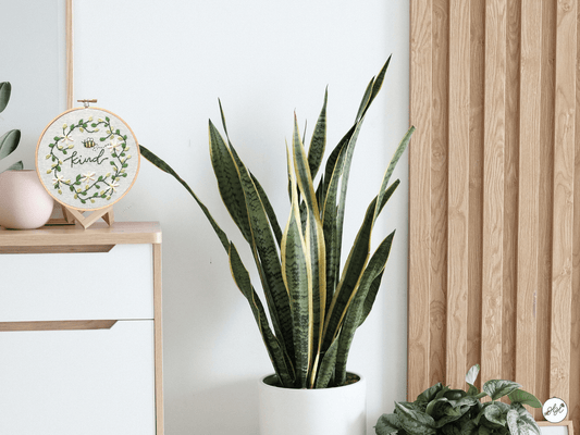 bee embroidery home decor displayed on a frame stand on a dresser in room with plants.